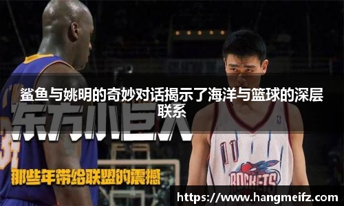 鲨鱼与姚明的奇妙对话揭示了海洋与篮球的深层联系